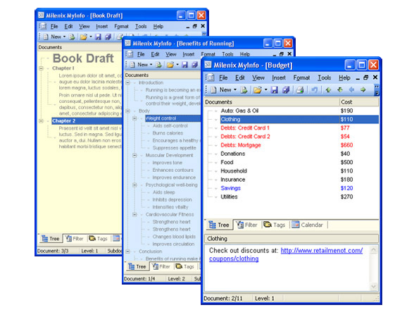 MyInfo outliner examples